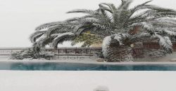 Μονοκατοικία 175 τ.μ. Αλιβέρι – Ακτή Νηρέως